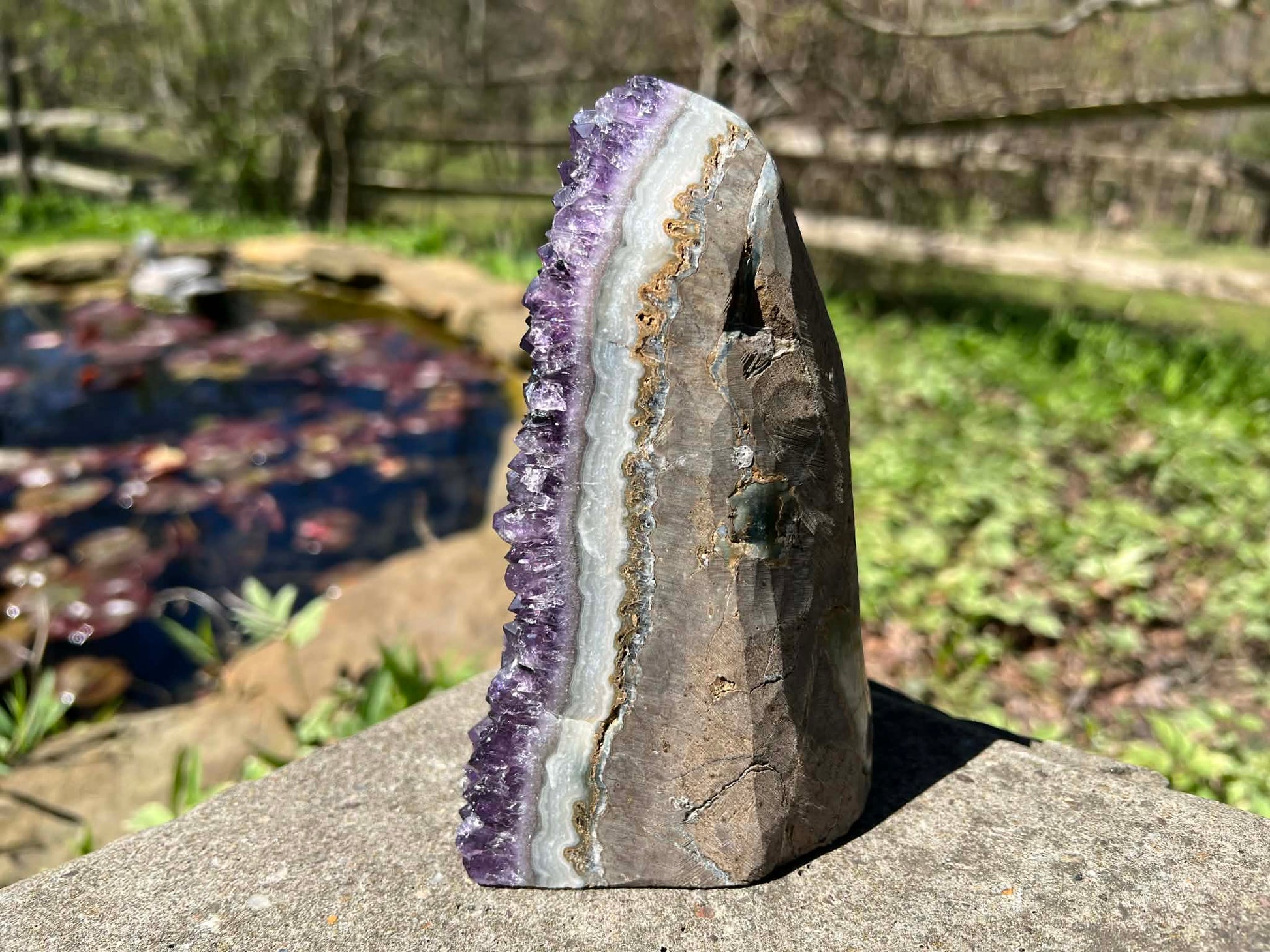 Amethyst Geode - Gem Realm 
