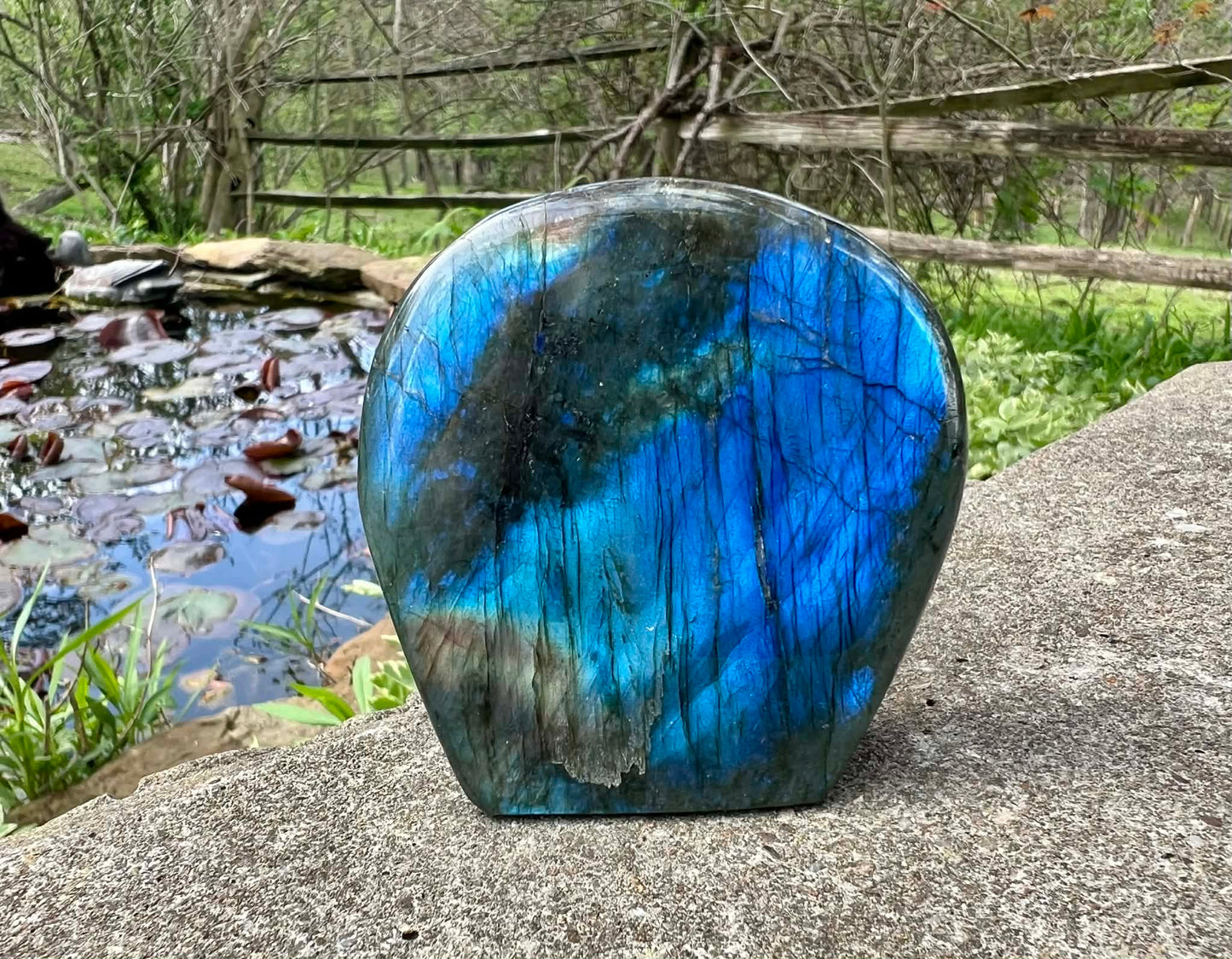 Labradorite Freeform - Gem Realm 