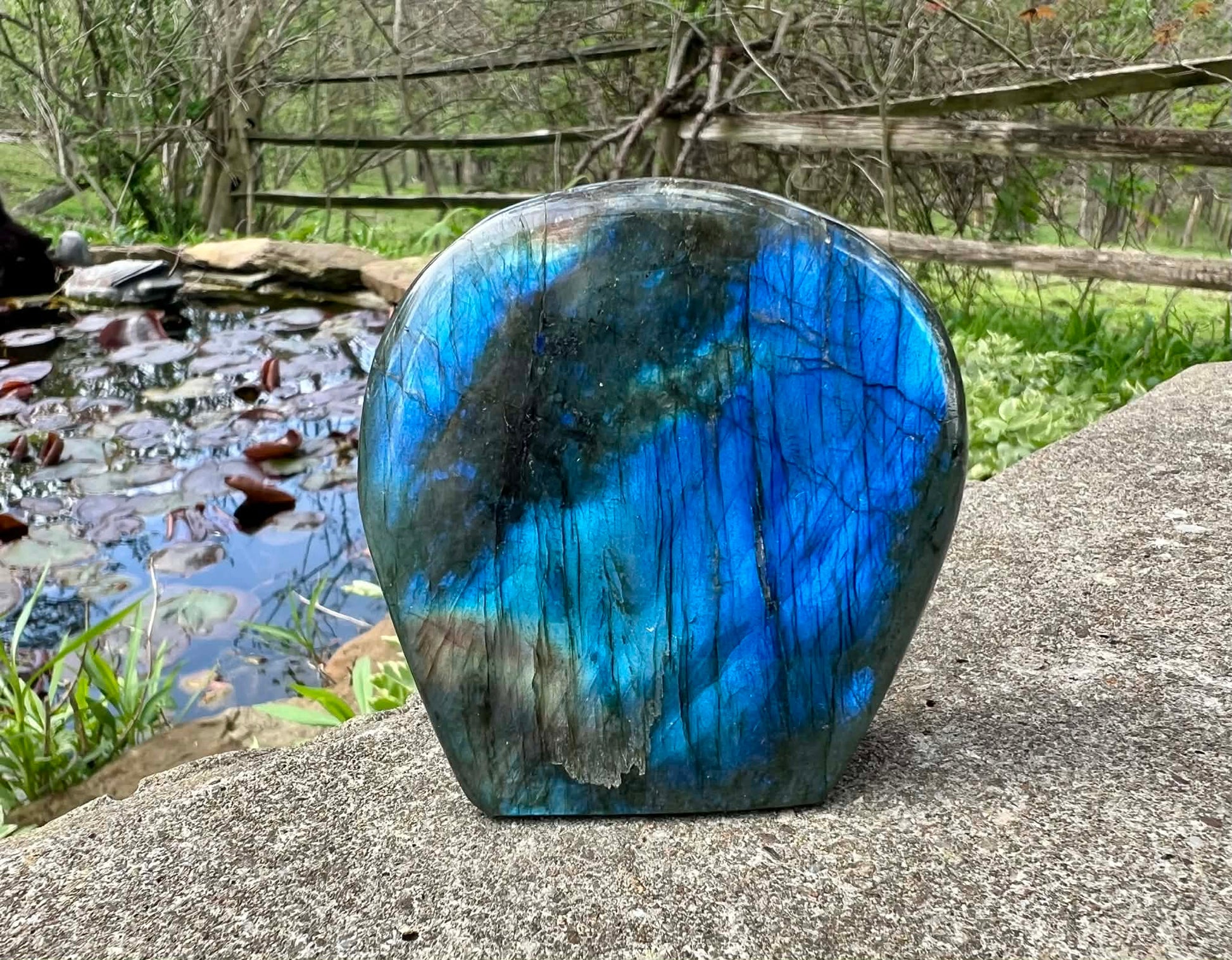 Labradorite Freeform - Gem Realm 