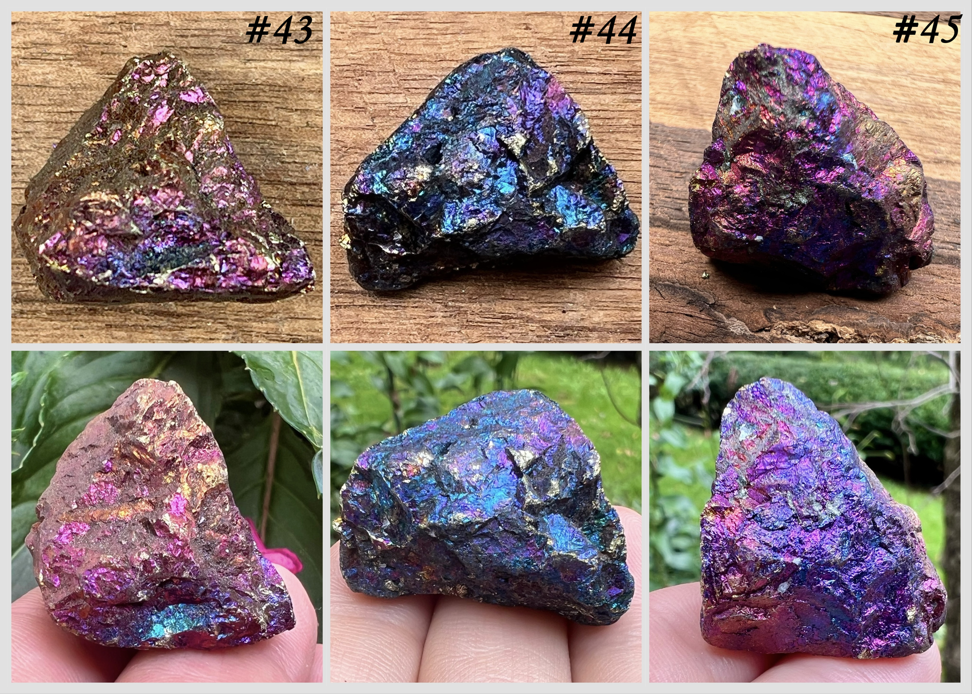 Chalcopyrite ~ Peacock Ore ~ Specimen - Gem Realm 