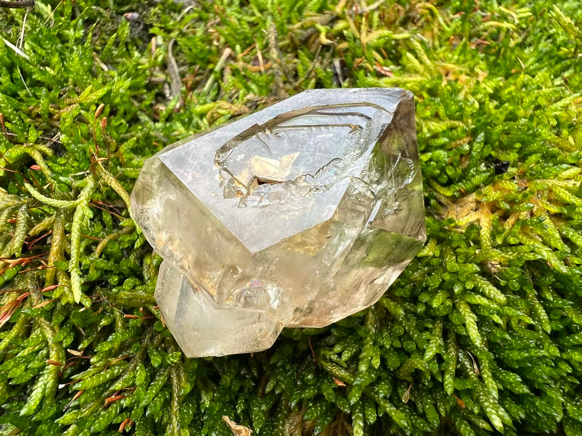 Smoky Elestial Quartz Specimen #10 - Gem Realm 