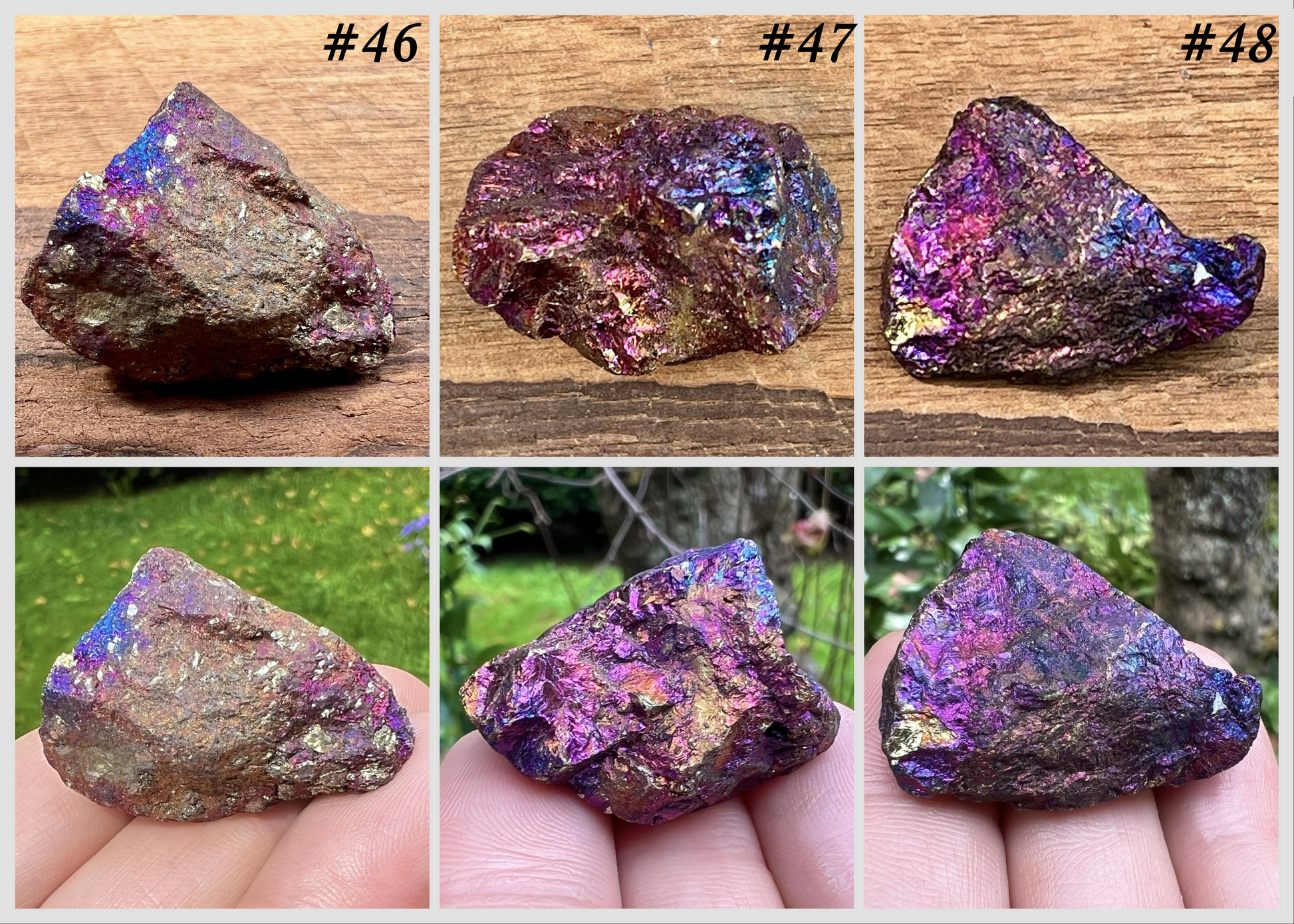 Chalcopyrite ~ Peacock Ore ~ Specimen - Gem Realm 