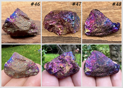 Chalcopyrite ~ Peacock Ore ~ Specimen - Gem Realm 