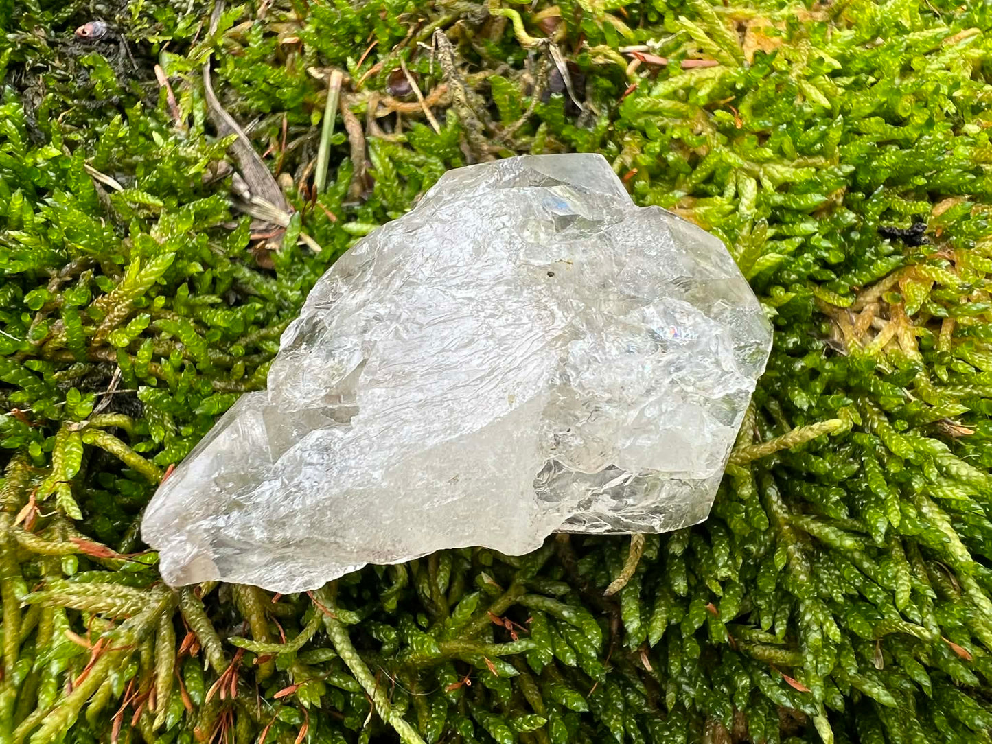Smoky Elestial Quartz Specimen #11 - Gem Realm 