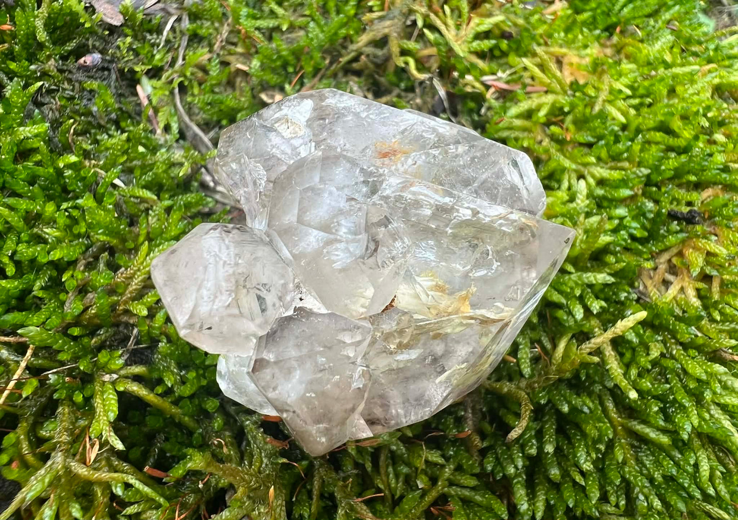 Smoky Elestial Quartz Specimen #12 - Gem Realm 