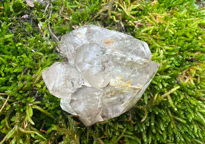 Smoky Elestial Quartz Specimen #12 - Gem Realm 