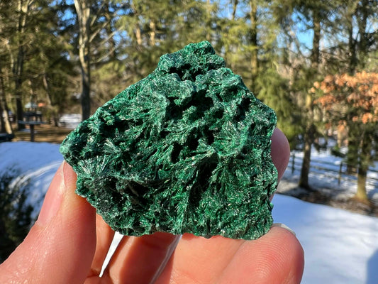 Silk Malachite Specimen #10 - Gem Realm 