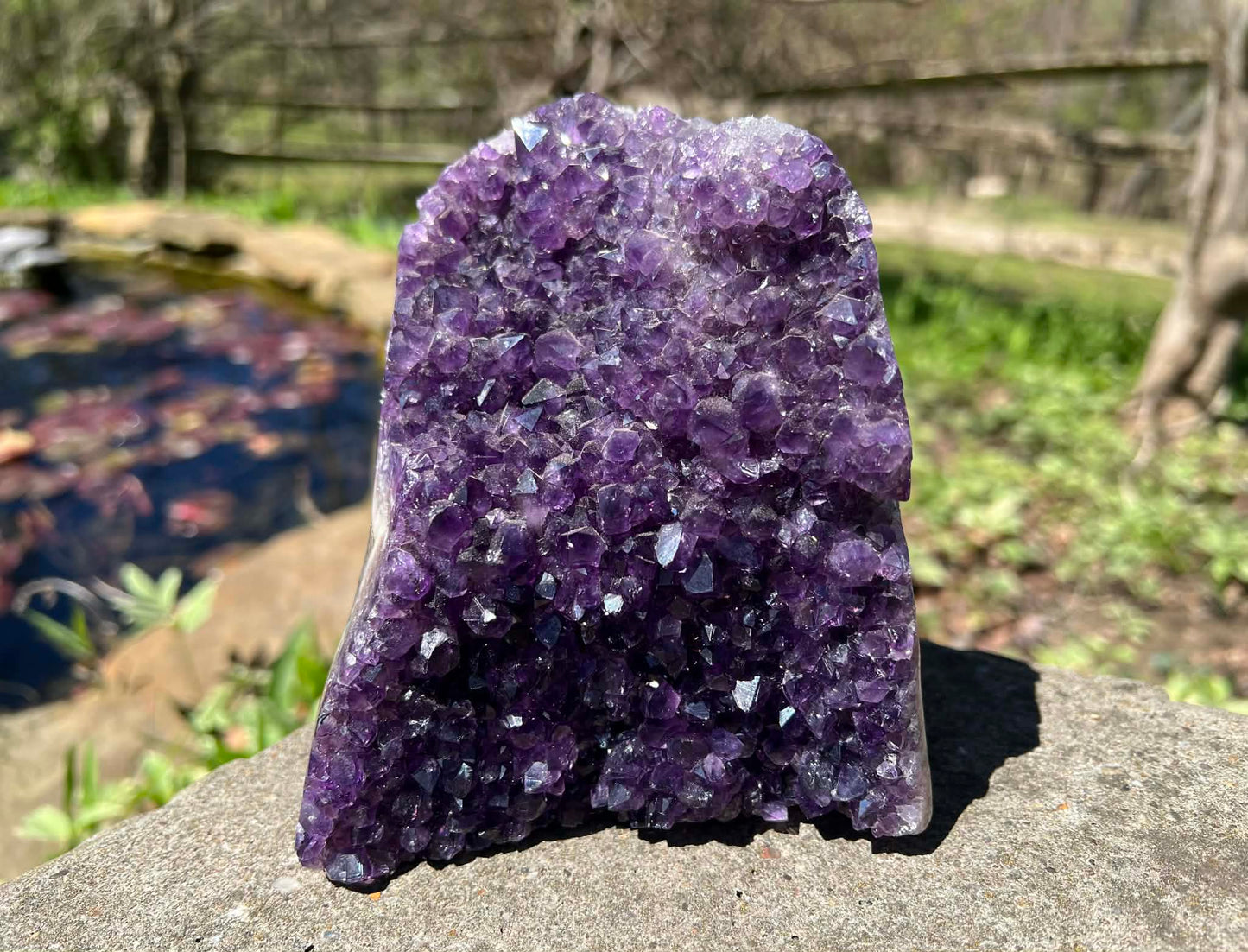 Amethyst Geode - Gem Realm 