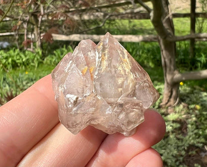 Smoky Elestial Quartz Specimen #12 - Gem Realm 