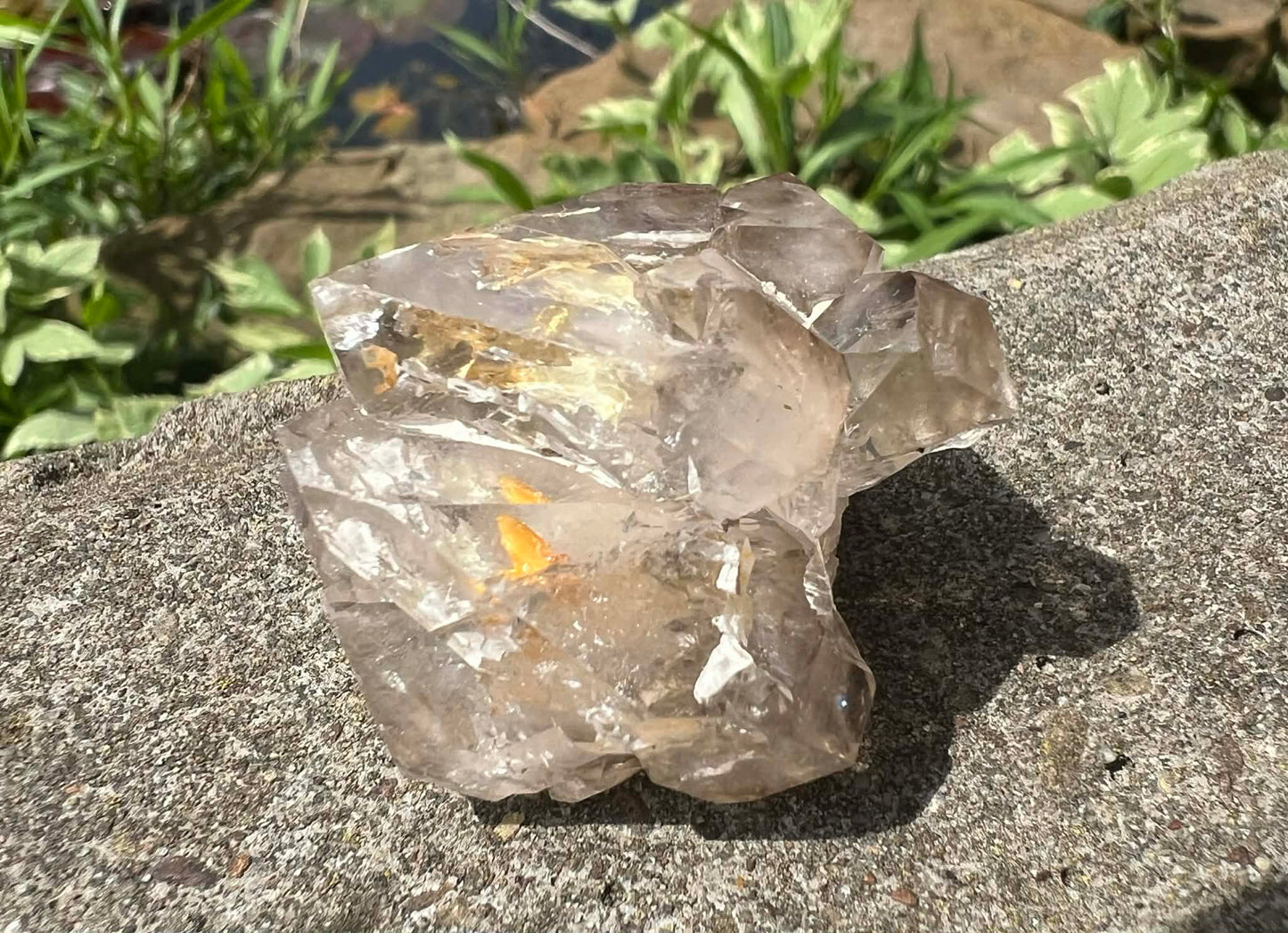 Smoky Elestial Quartz Specimen #12 - Gem Realm 