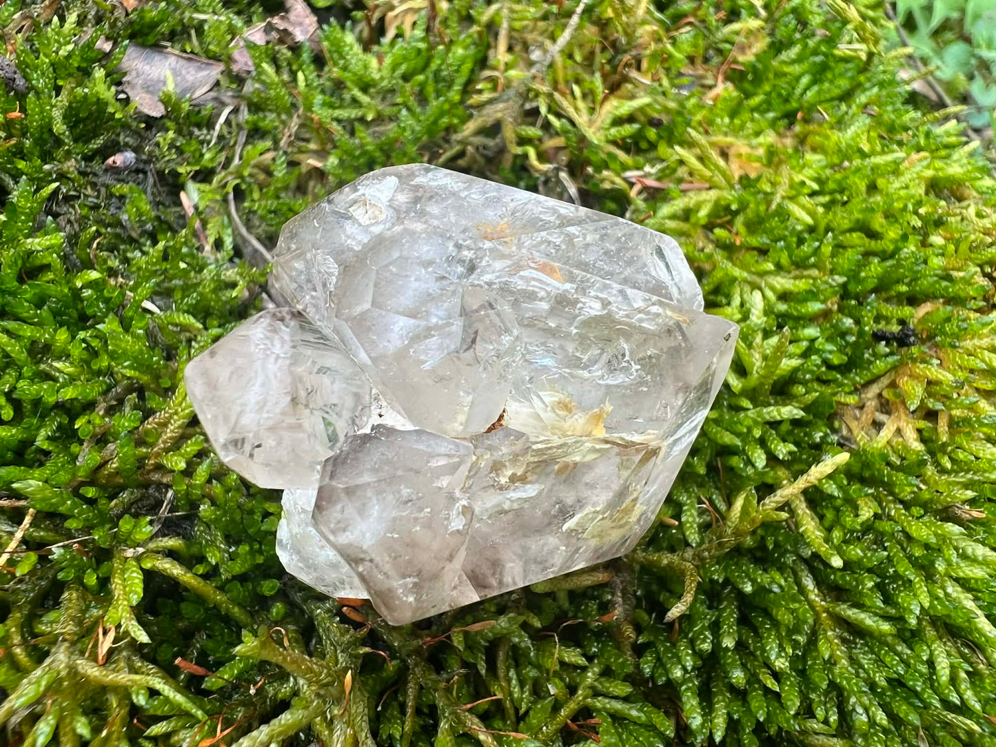 Smoky Elestial Quartz Specimen #12 - Gem Realm 