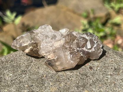 Smoky Elestial Quartz Specimen #7 - Gem Realm 