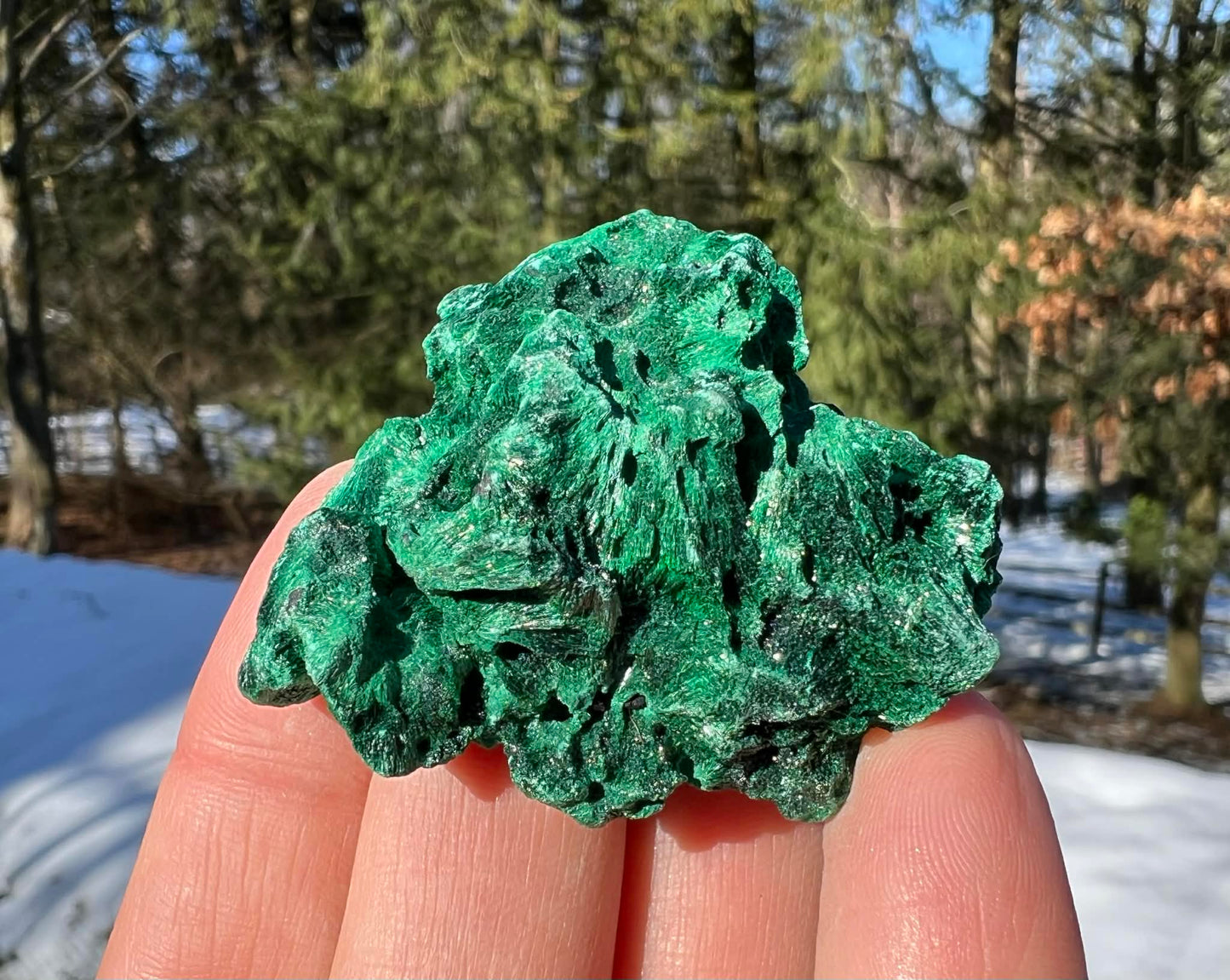 Silk Malachite Specimen #24 - Gem Realm 