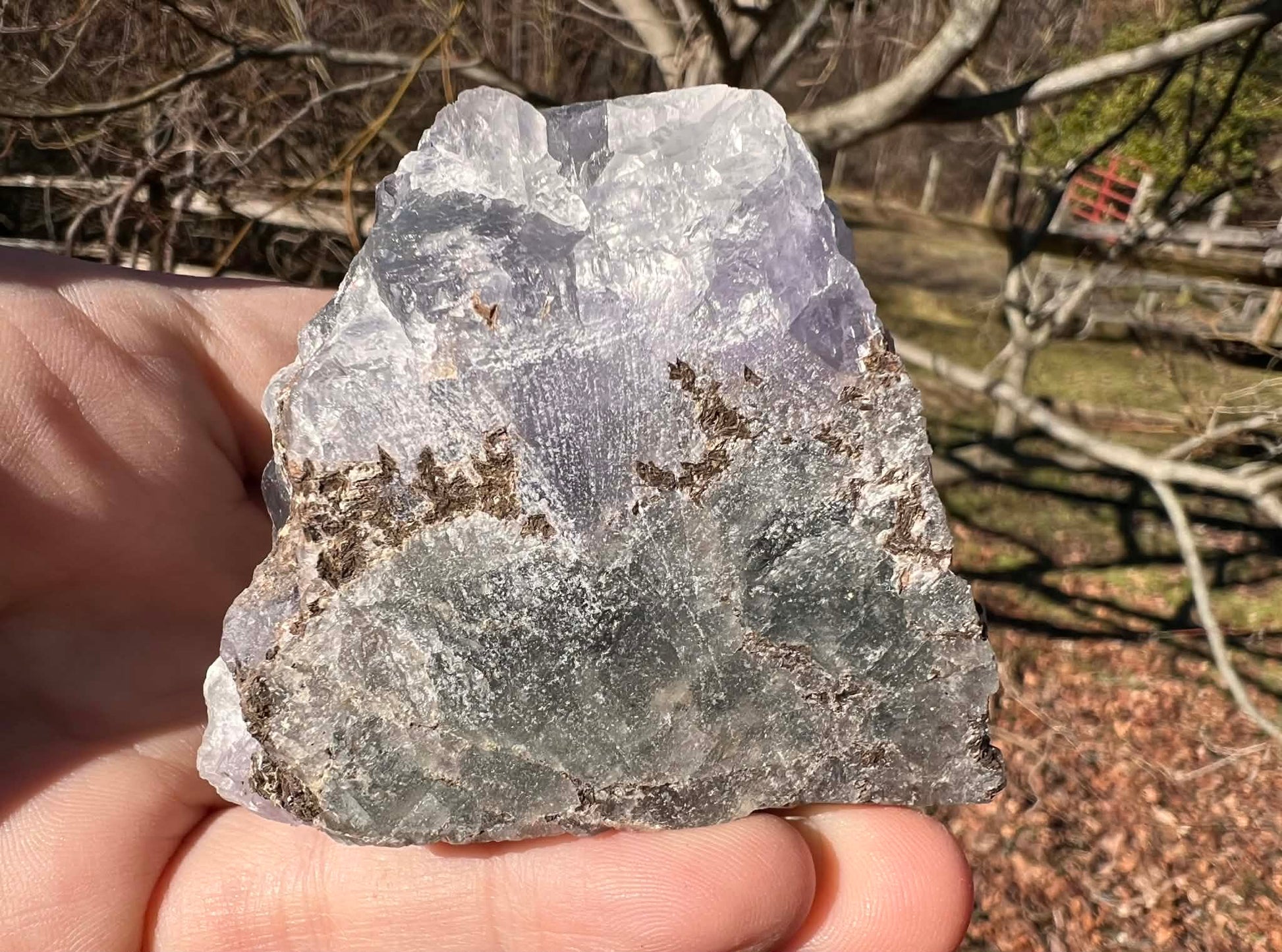 Rainbow Fluorite Specimen - Gem Realm 
