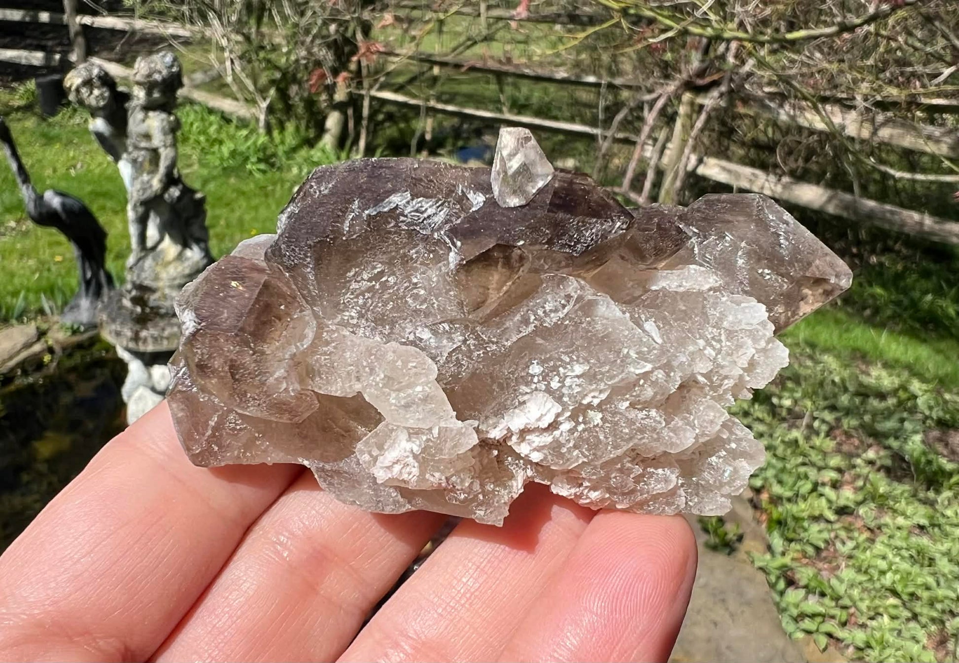 Smoky Elestial Quartz Specimen #8 - Gem Realm 