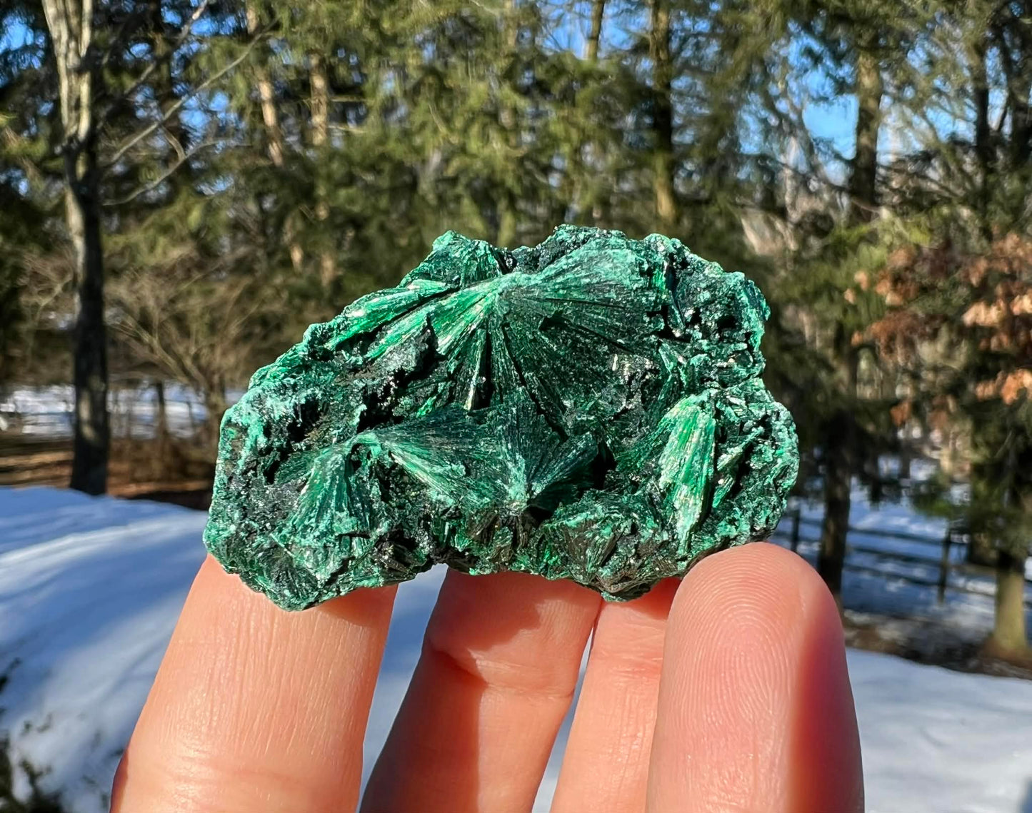 Silk Malachite Specimen #6
