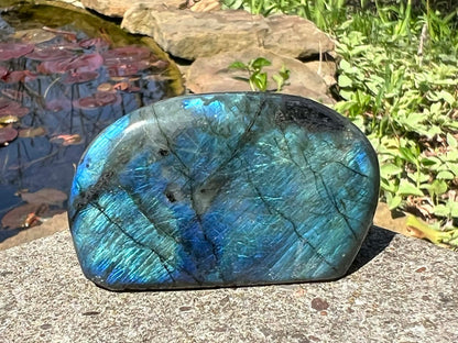 Labradorite Freeform - Mini - Gem Realm 