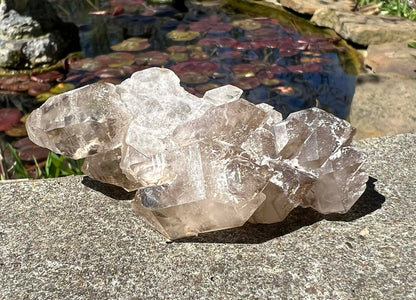 Smoky Elestial Quartz Specimen #7 - Gem Realm 
