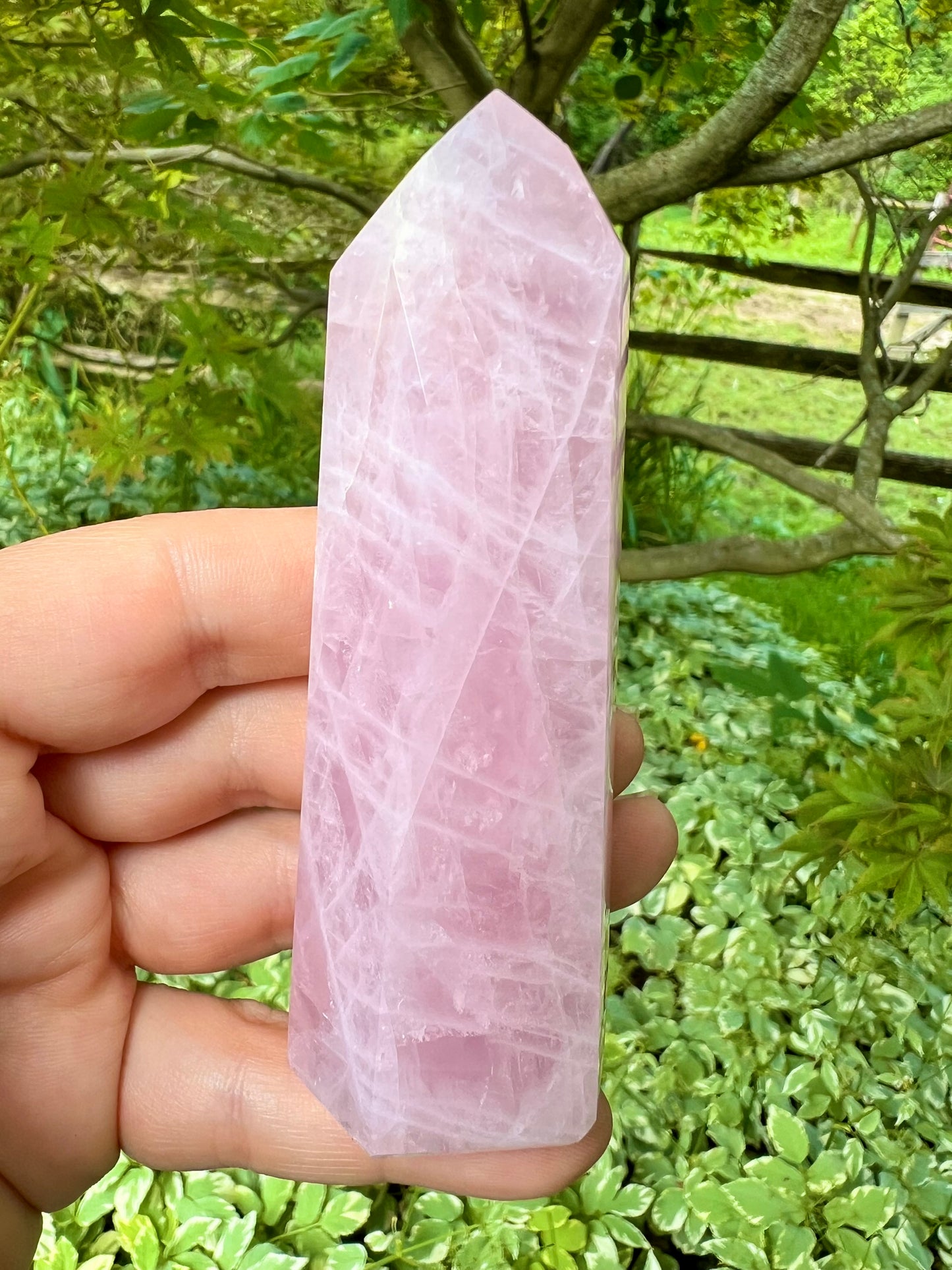 Rose Quartz Tower