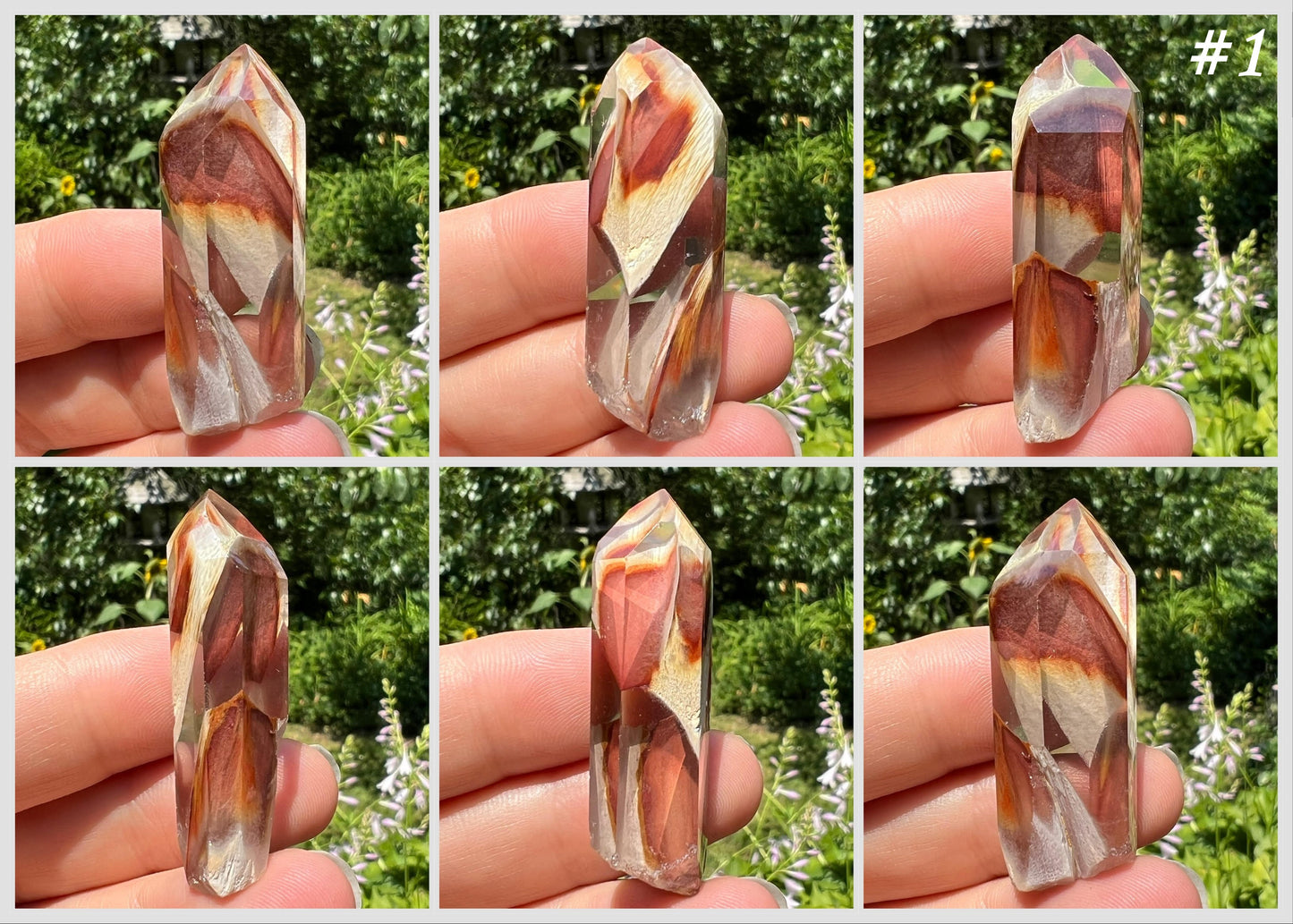Amphibole Quartz Points