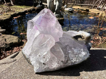 Amethyst Cluster Specimen ~ Brazil