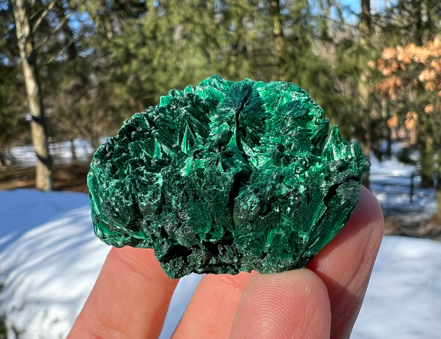 Silk Malachite Specimen #17 - Gem Realm 