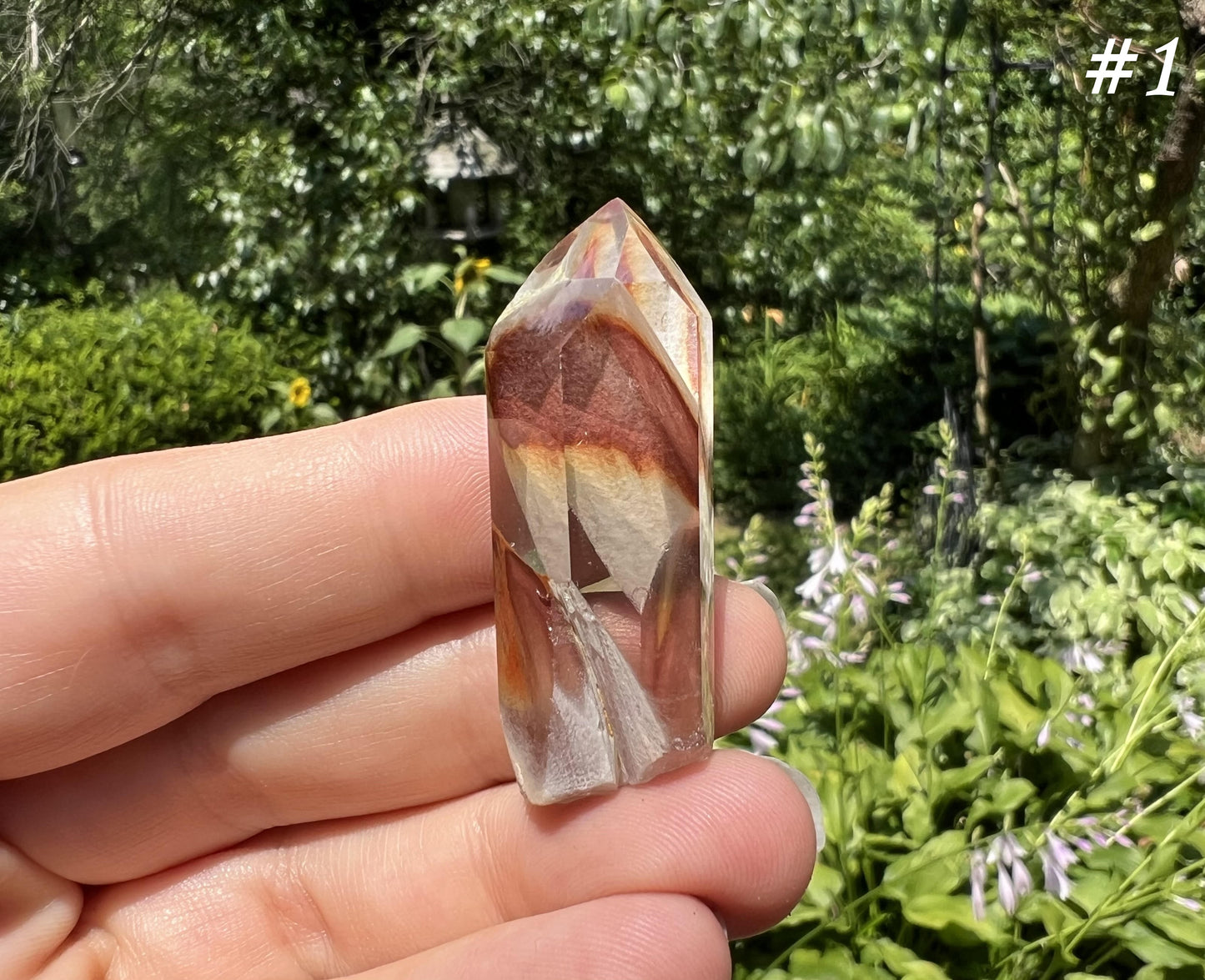 Amphibole Quartz Points