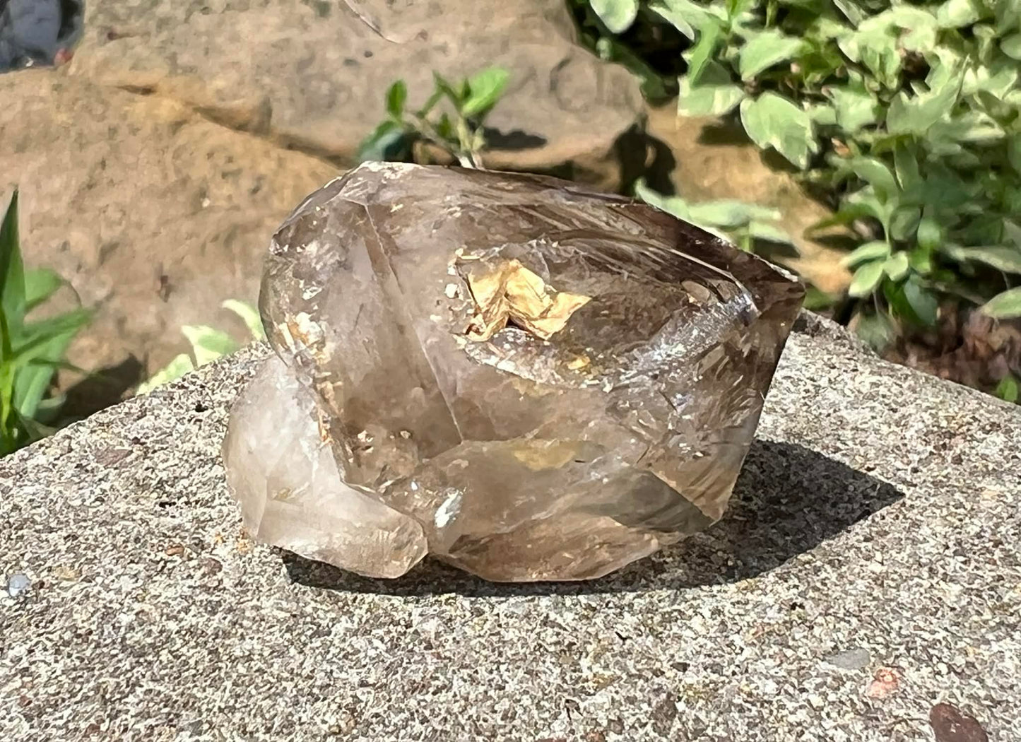 Smoky Elestial Quartz Specimen #10 - Gem Realm 