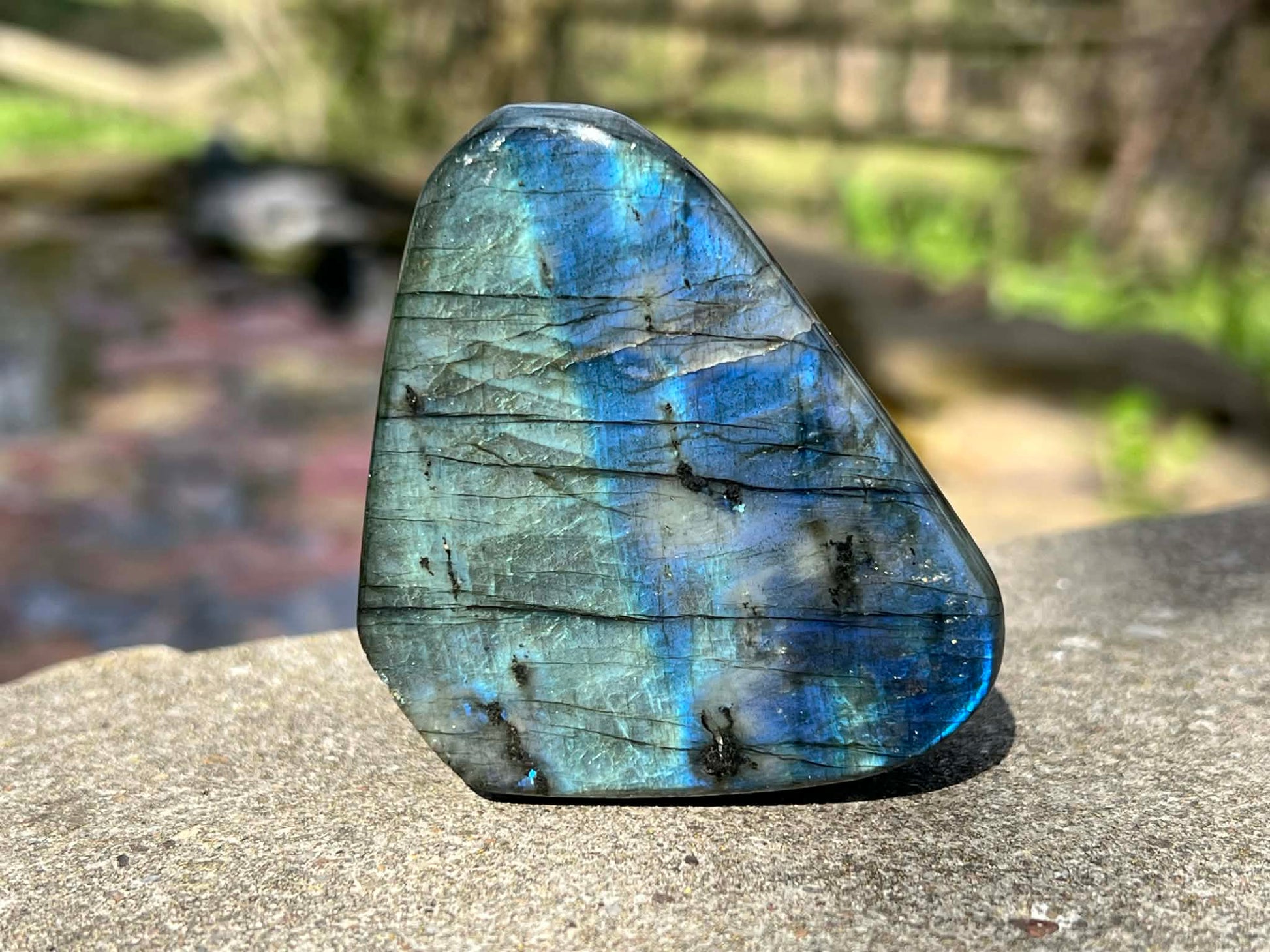 Labradorite Freeform - Gem Realm 