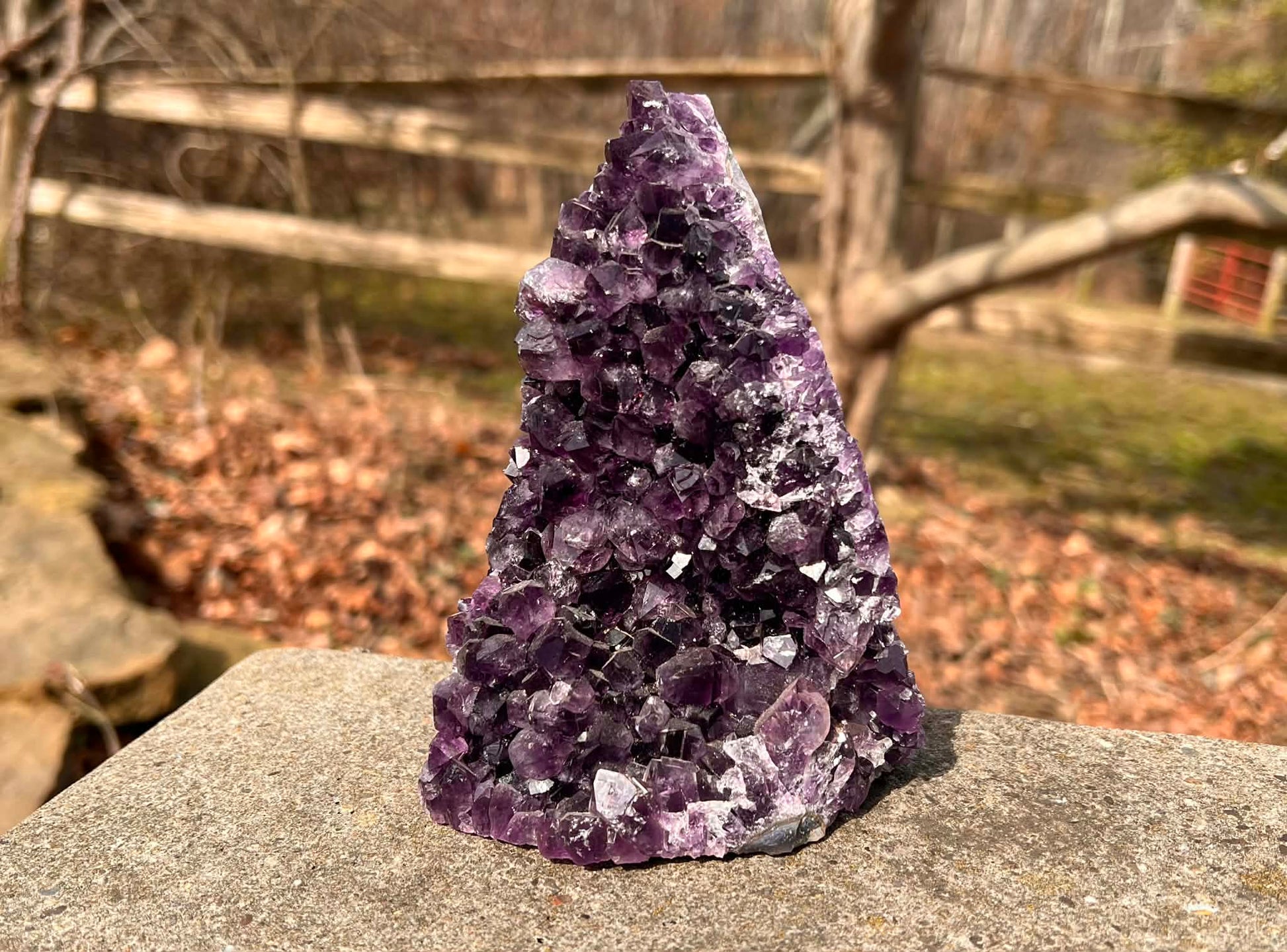 Amethyst Geode - Gem Realm 