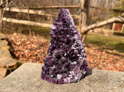 Amethyst Geode - Gem Realm 
