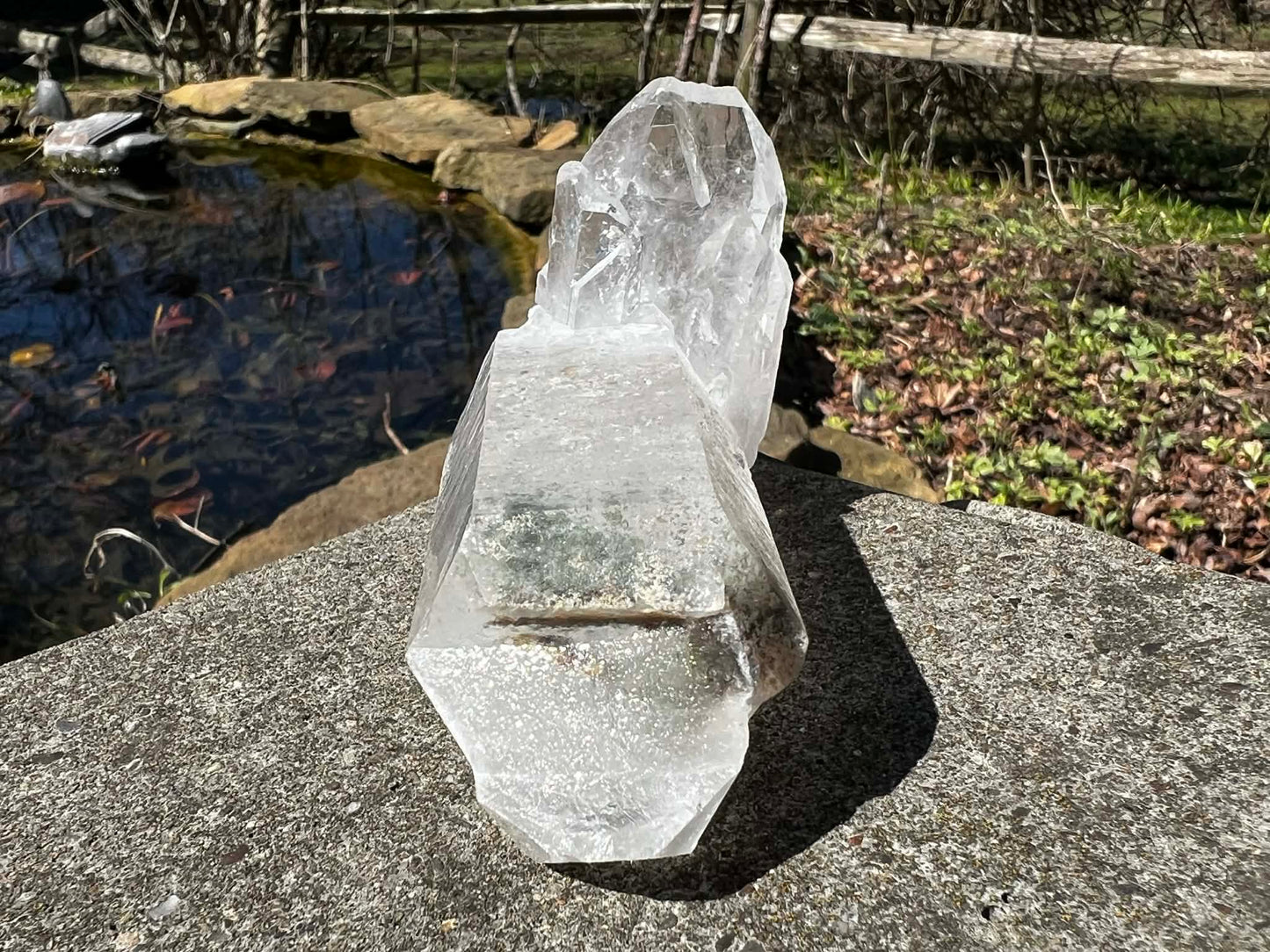 Quartz Crystal Specimen ~ with Chlorite - Gem Realm 
