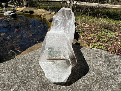 Quartz Crystal Specimen ~ with Chlorite - Gem Realm 