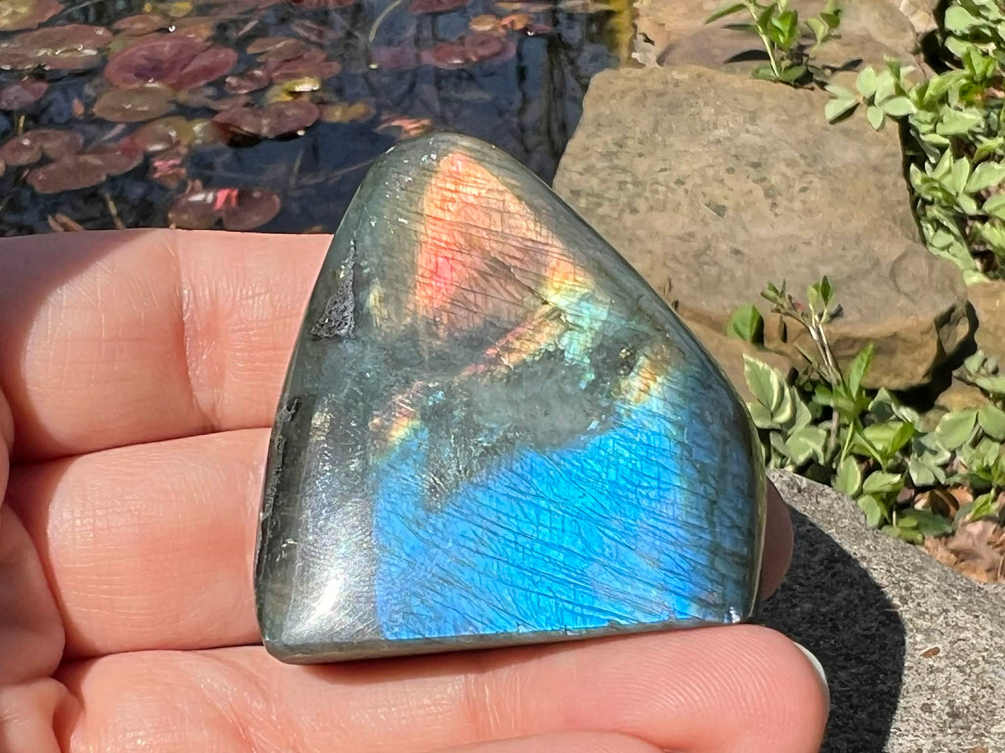 Labradorite Freeform - Mini - Gem Realm 