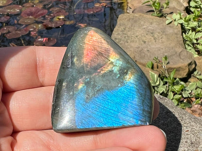 Labradorite Freeform - Mini - Gem Realm 