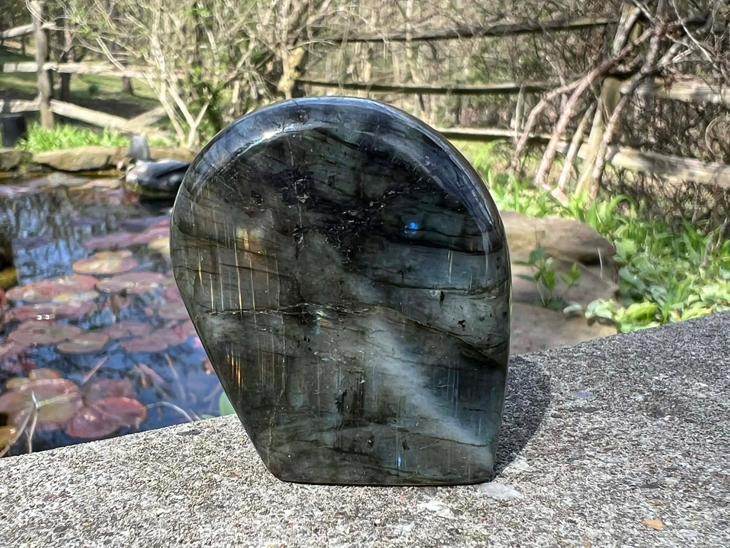 Labradorite Freeform - Mini - Gem Realm 