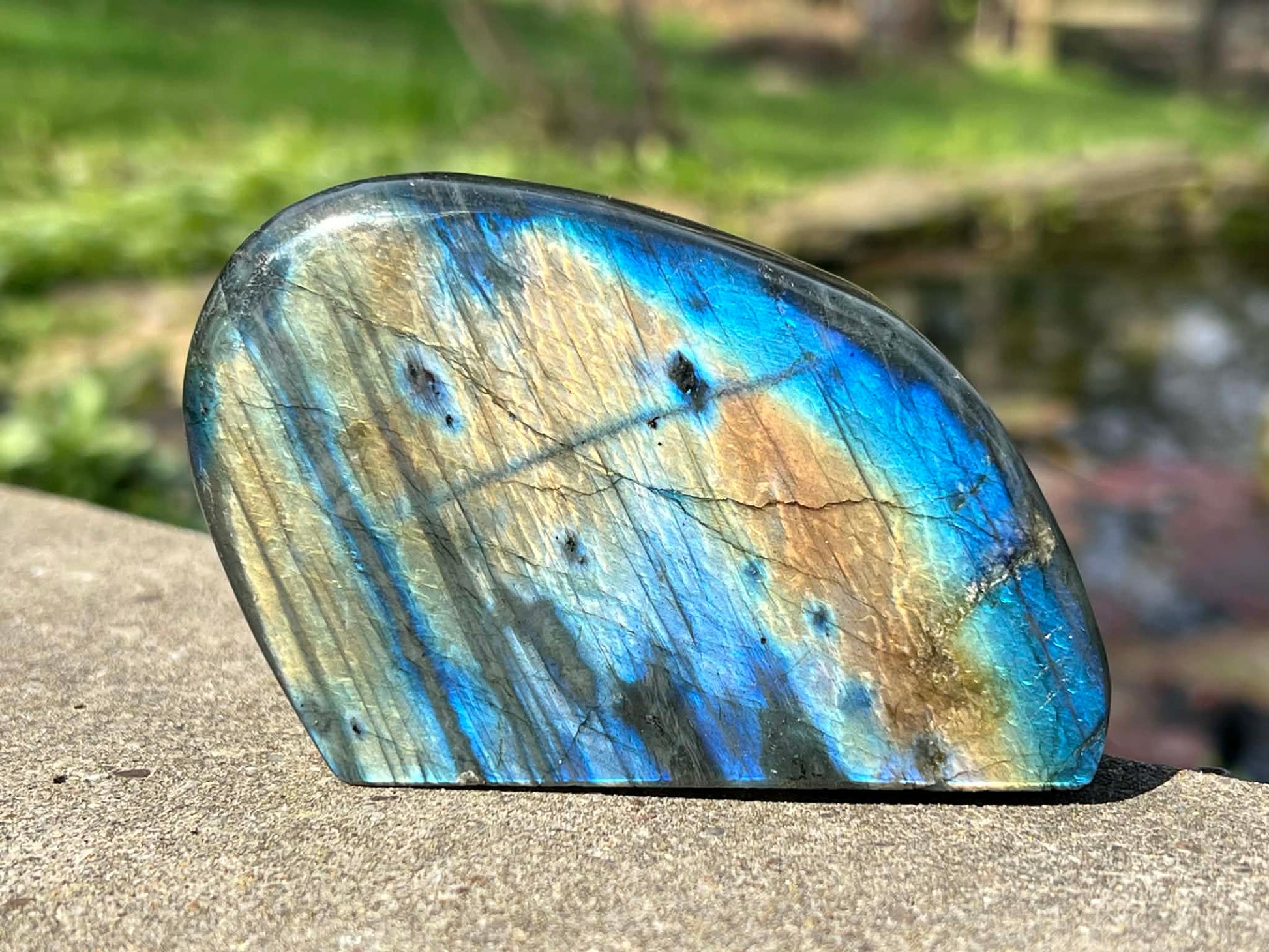 Labradorite Freeform - Gem Realm 