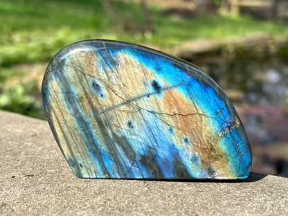 Labradorite Freeform - Gem Realm 