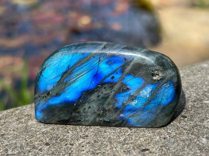 Labradorite Freeform - Mini - Gem Realm 