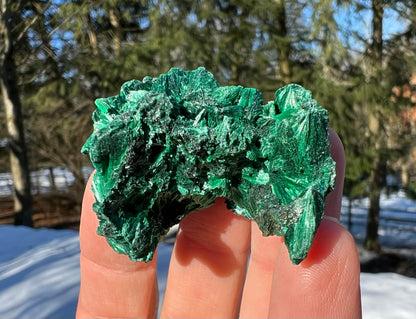 Silk Malachite Specimen #13 - Gem Realm 