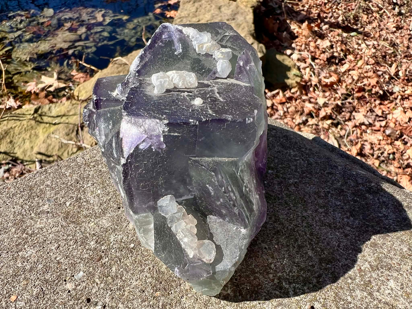Rainbow Fluorite Specimen - Gem Realm 