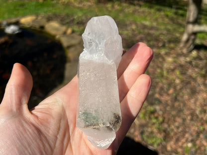 Quartz Crystal Specimen ~ with Chlorite - Gem Realm 