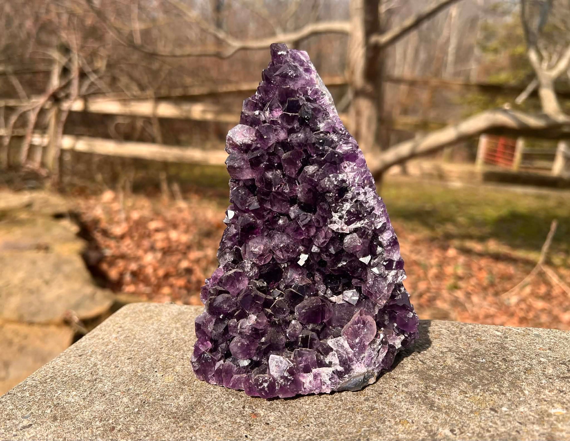 Amethyst Geode - Gem Realm 