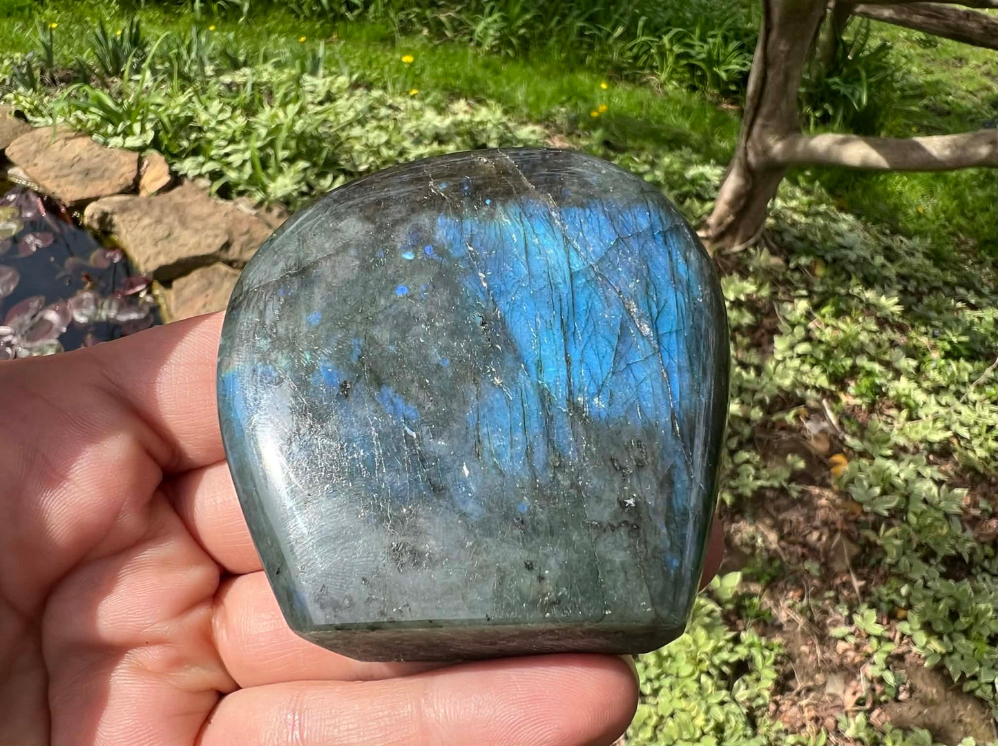 Labradorite Freeform - Gem Realm 