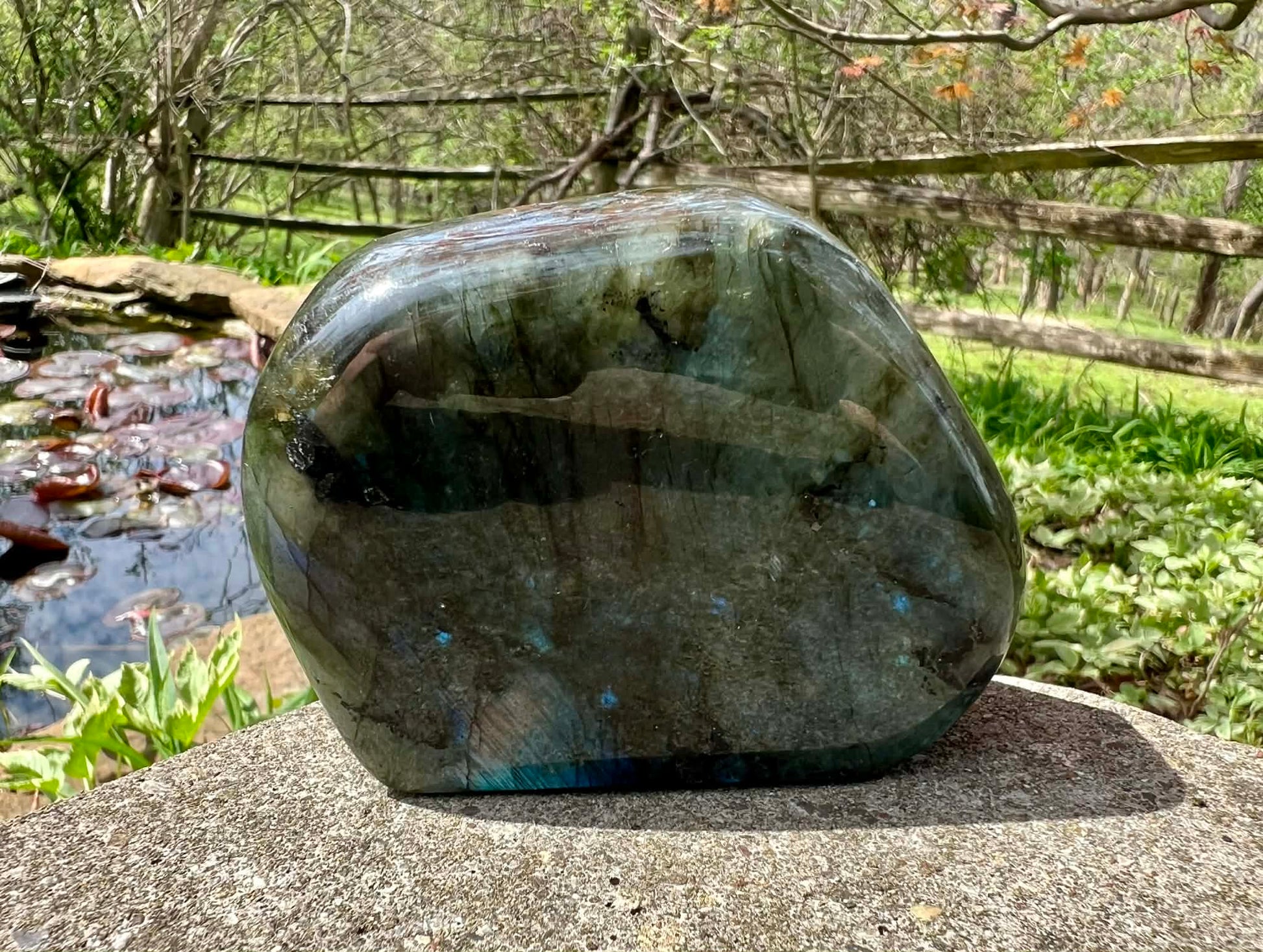 Labradorite Freeform - Gem Realm 