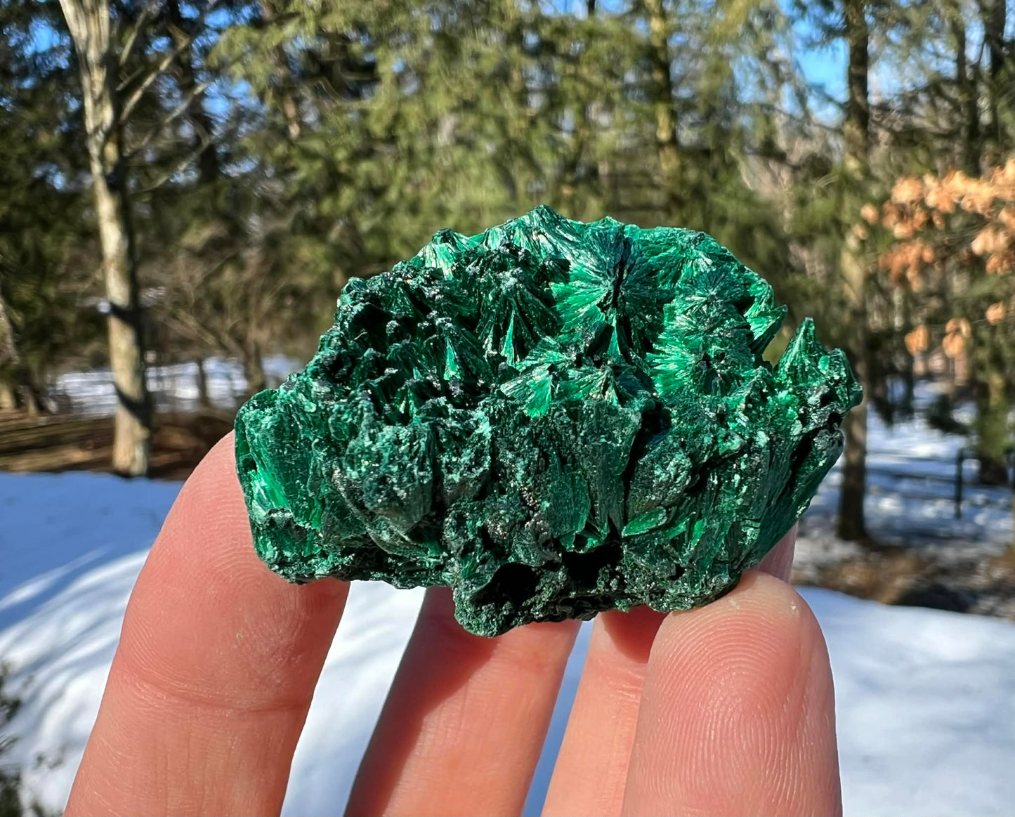 Silk Malachite Specimen #17 - Gem Realm 
