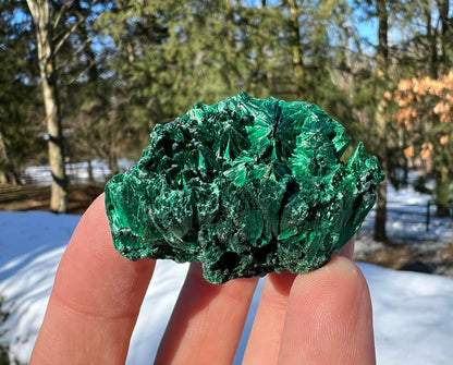 Silk Malachite Specimen #17 - Gem Realm 