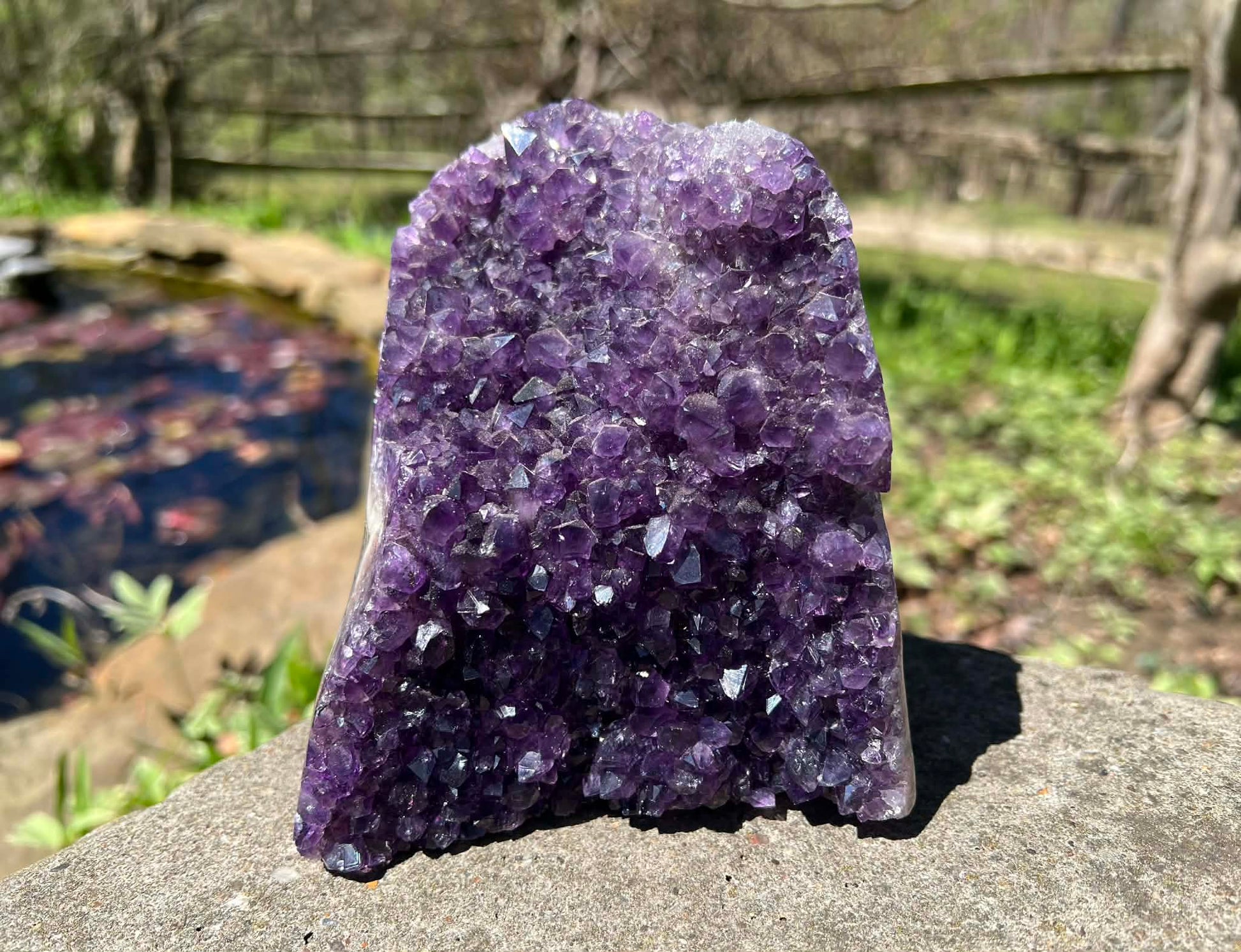 Amethyst Geode - Gem Realm 