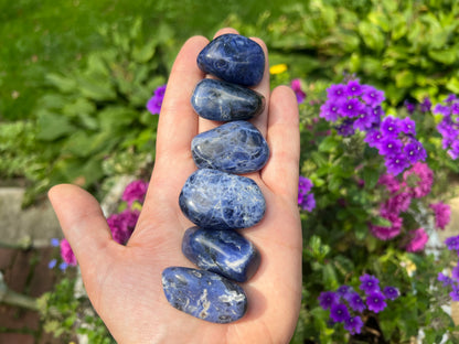 Sodalite Tumbled Stones ~ XL - Gem Realm 