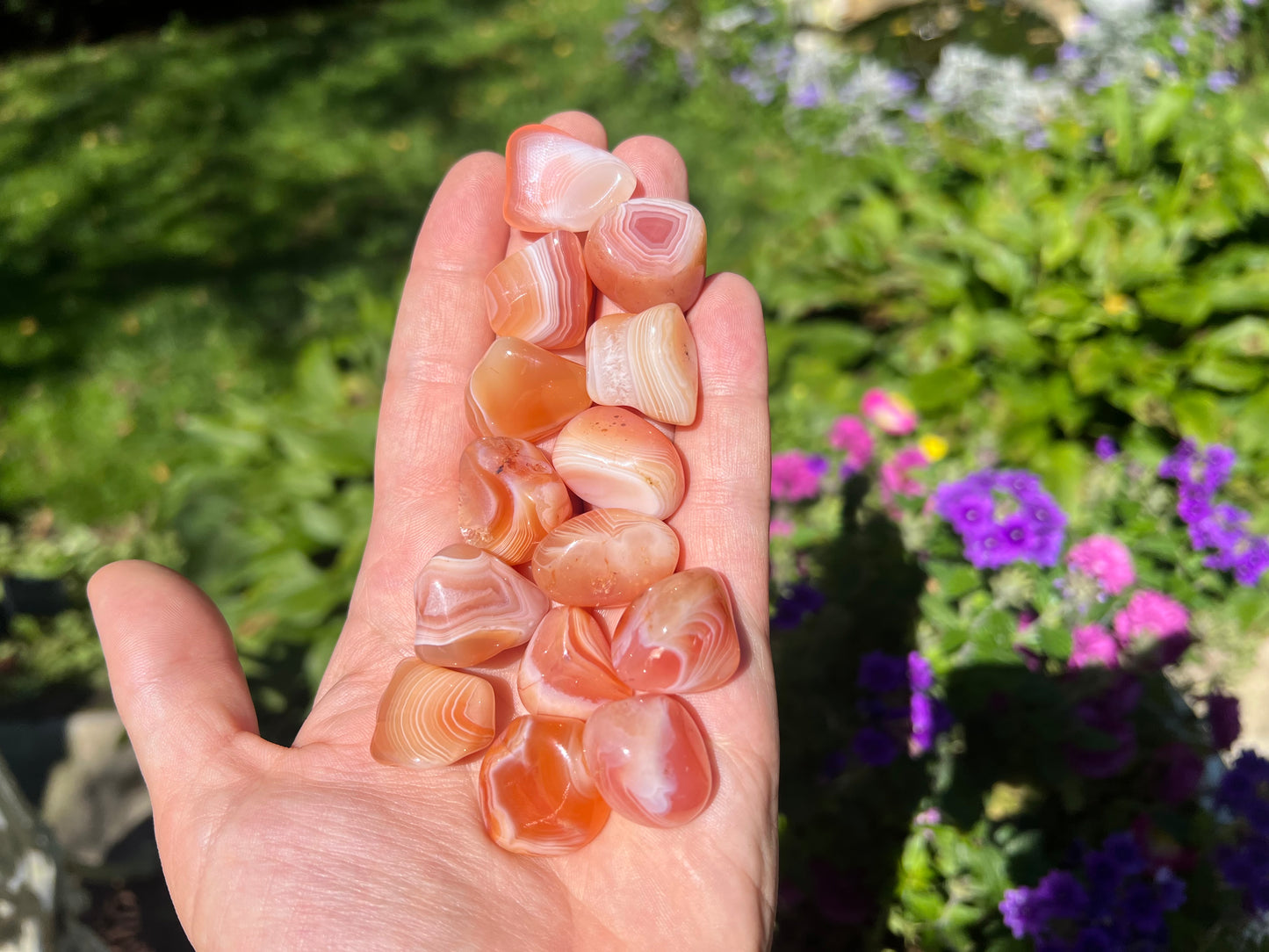 Carnelian Tumbled Stones ~ Small